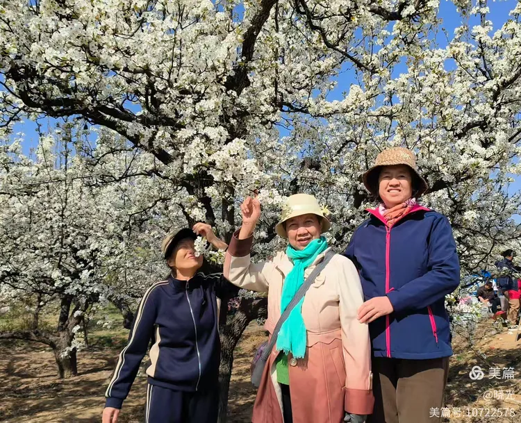 正明山百年梨园游记